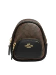 Coach Bag C00A7