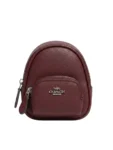 Coach Bag C00A2
