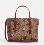 COACH Mollie Tote Bag